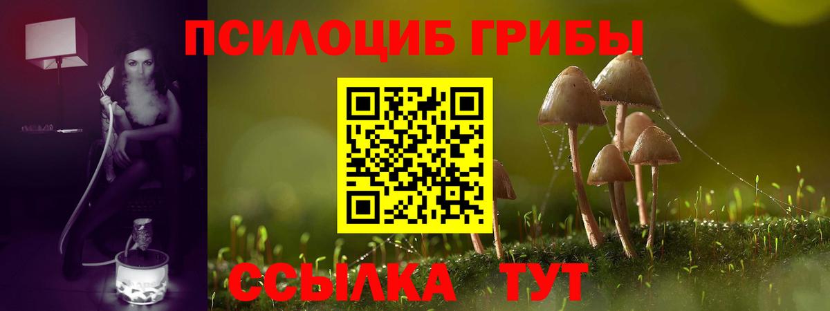Псилоцибиновые грибы Psilocybine cubensis Ржев